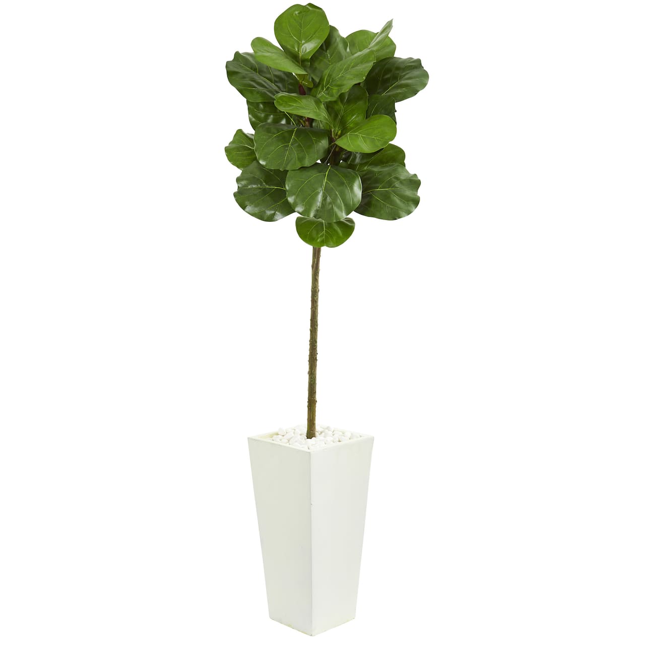 5.5ft. Fiddle Leaf Tree in White Tower Planter